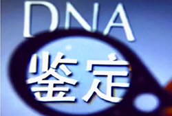 徐州DNA鉴定医院哪里有，徐州医院亲子鉴定费用一般要多少钱