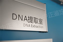 徐州落户亲子鉴定准不准确